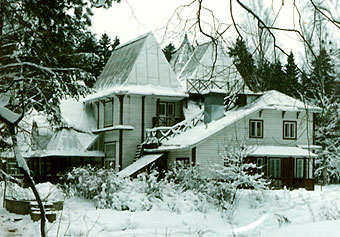 Repino in winter